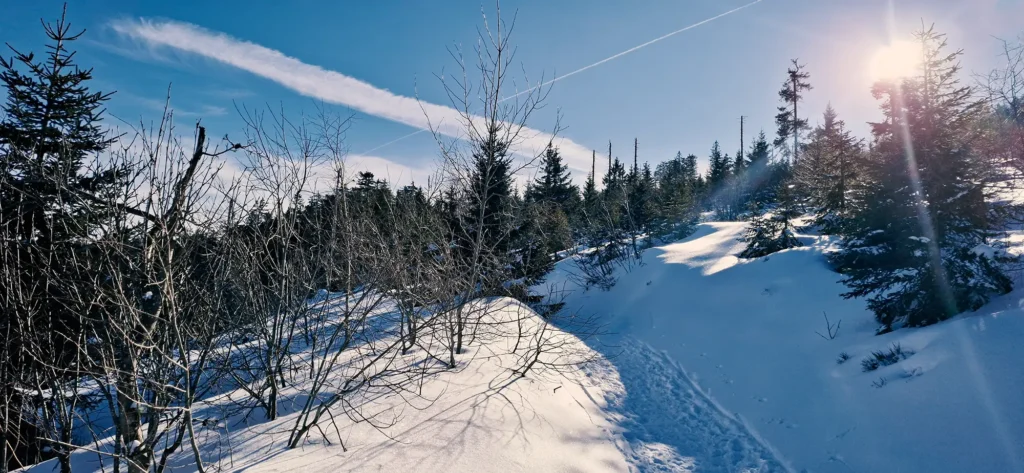 Verschneite Landschaft auuf dem Weg zur Chamer Hütte.