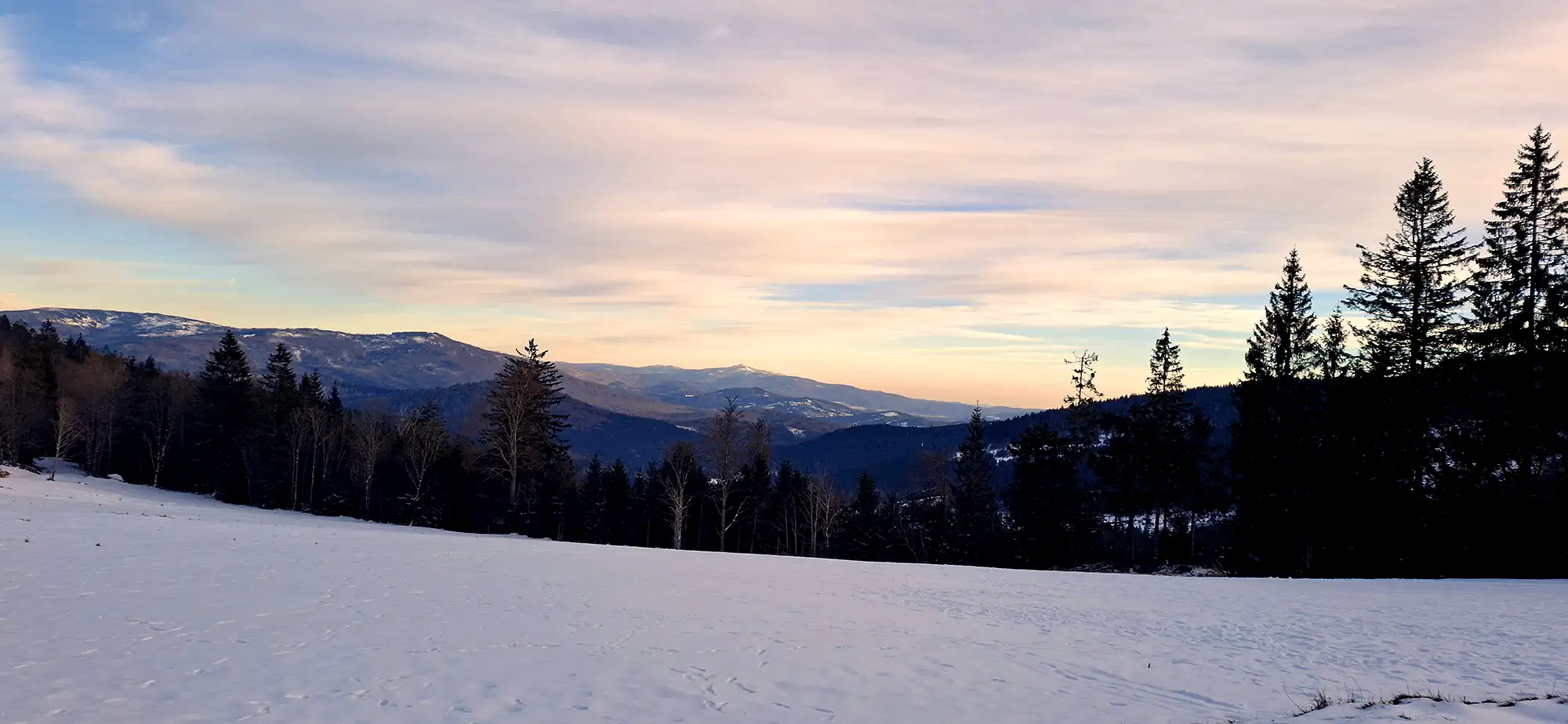 Blick auf den Großen Falkenstein und den Großen Rachel im Abendlicht.