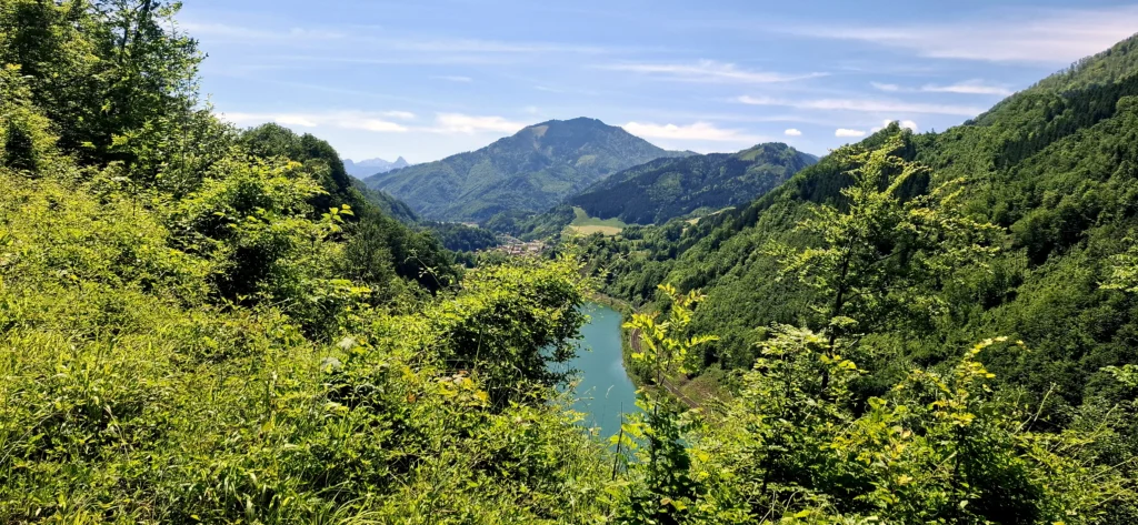 Blick über das Ennstal in Richtung Kleinreifling. Im Vordergrund stehen maigrüne Sträucher. Im Tal fließt die Enns. Im Hintergrund stehen Berge.