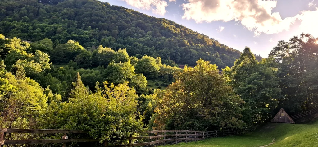 Bewaldete Berge im frühen Abendlicht.