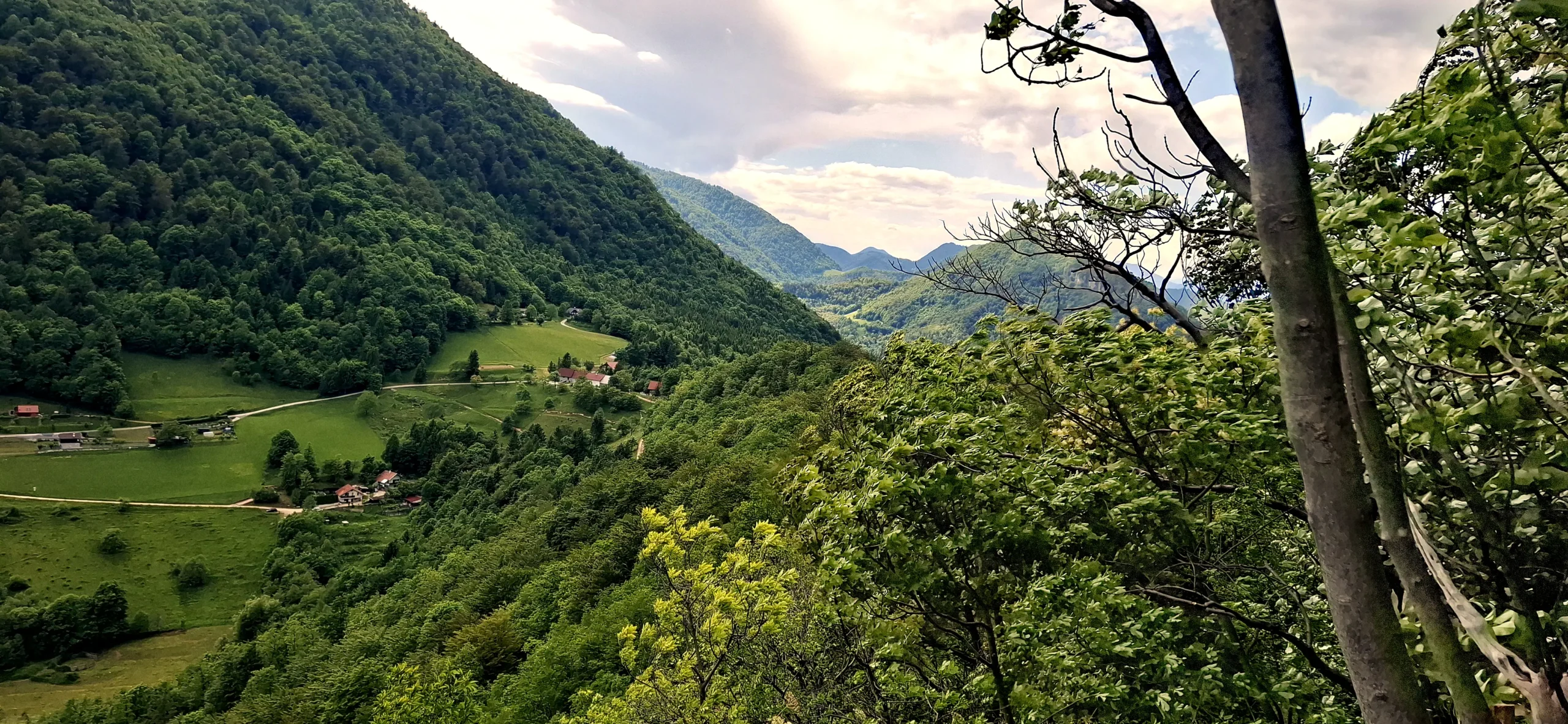 Kotečnik
