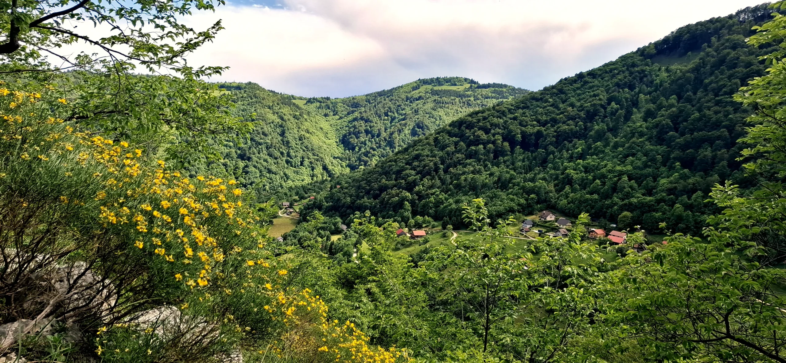 Blick auf bewaldete Berge und Häuser, die im Tal stehen. Im Vordergrund blühen gelbe Blumen.