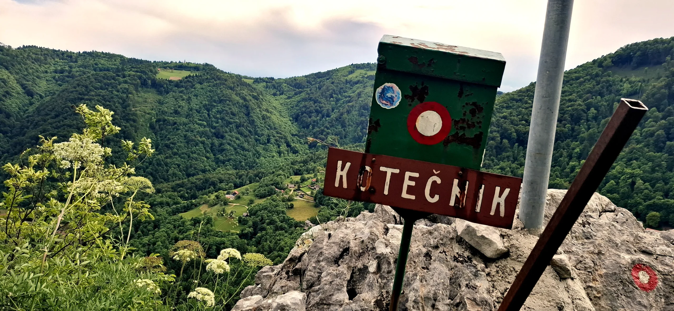 Blick auf bewaldete Berge. Im Vordergrund steht eine Kasten, der das Gipfelbuch enthält.