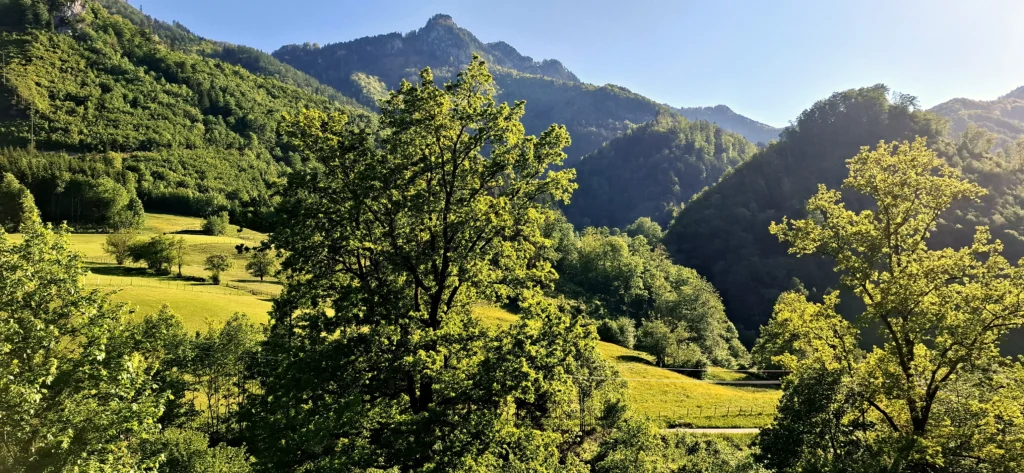 Bewaldete Berge im Trattenbachtal im frühen Abendlicht.
