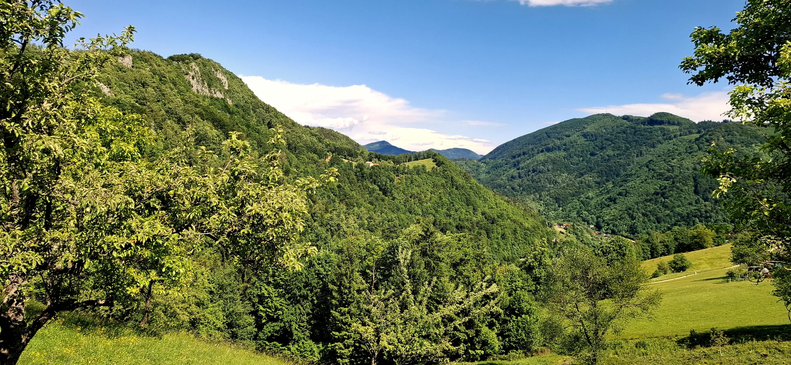 Blick auf bewaldete Berge.